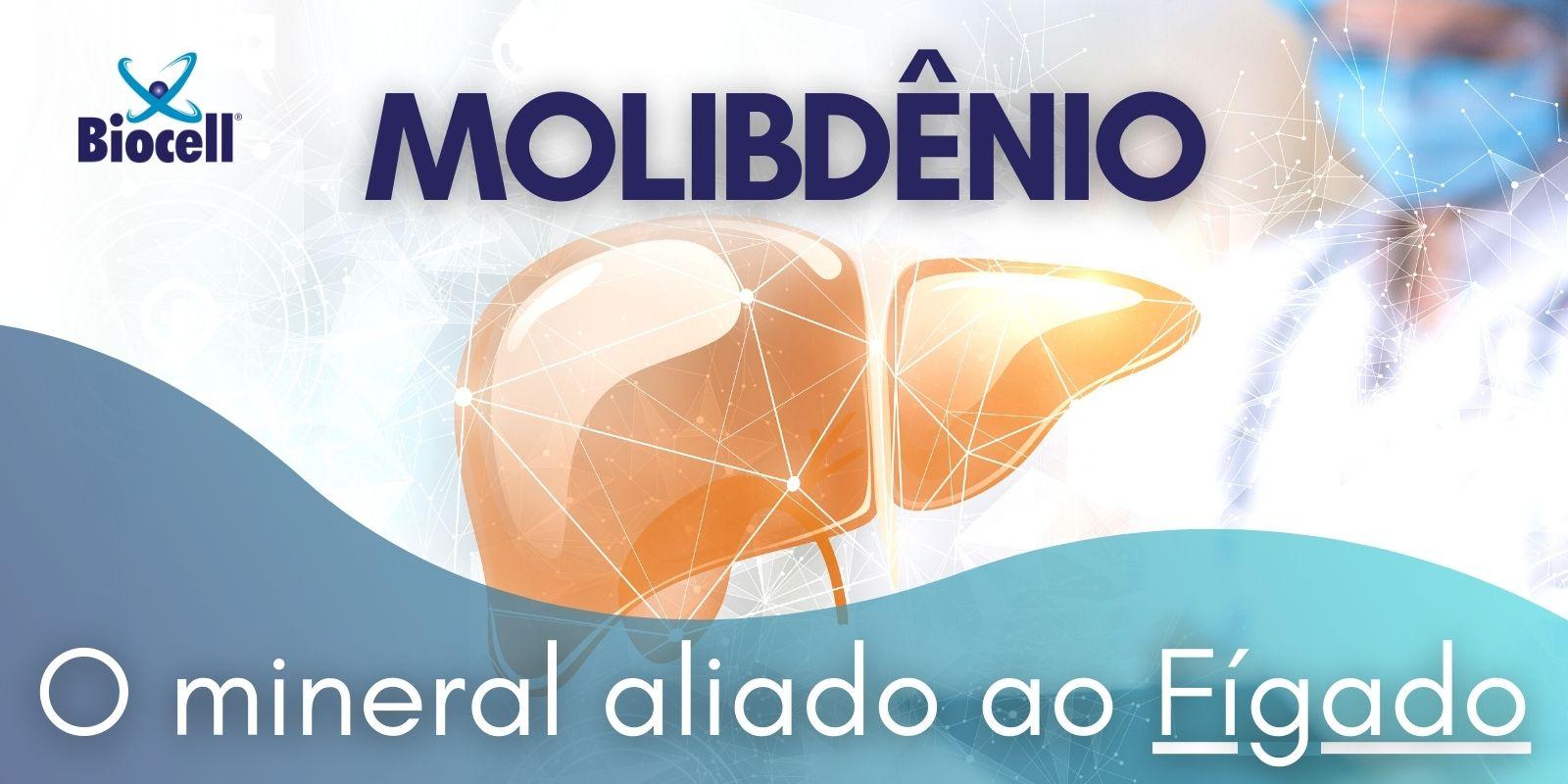 Molibdênio: o mineral aliado ao Fígado